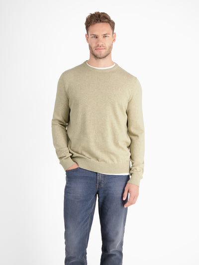 Crewneck knit sweater