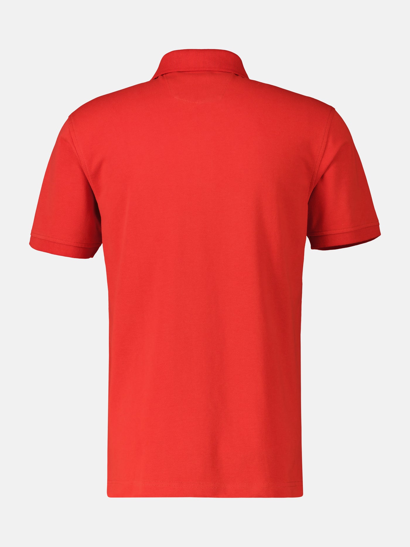 Basic polo shirt in many colors