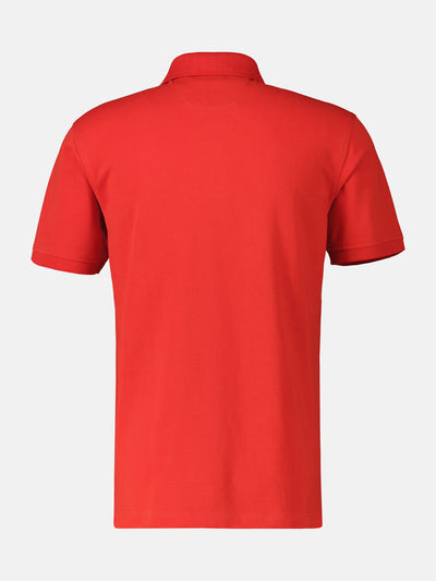 Basic polo shirt in many colors