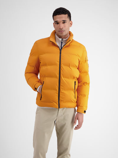 Warmly lined quilted blouson with hidden hood